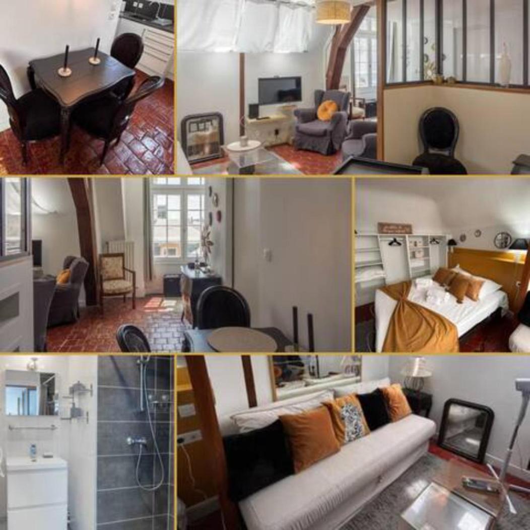 Le Sainte Anne *Studio* Leilighet Orléans Eksteriør bilde